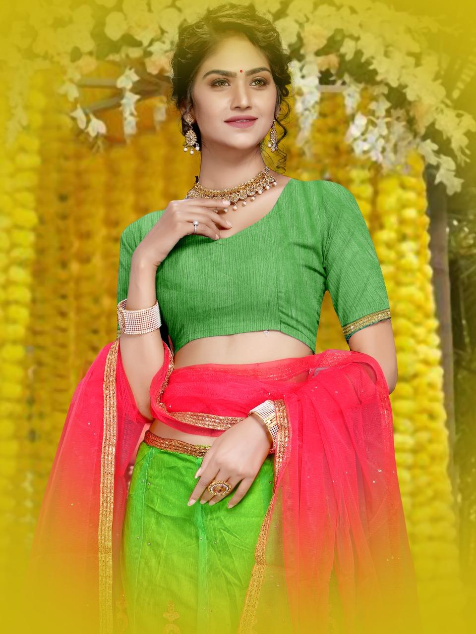 Indian Net Lehnga D1003 Color Green by Missgunni - New Veer Ji