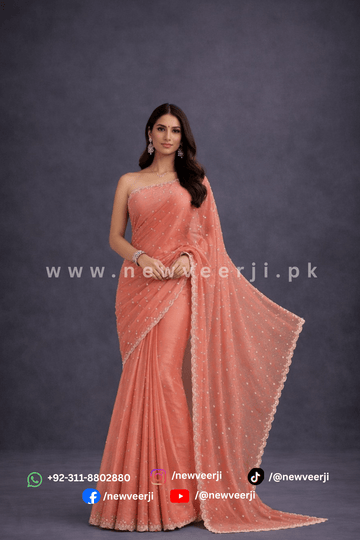 Shimmery Organza Saree - New Veer Ji