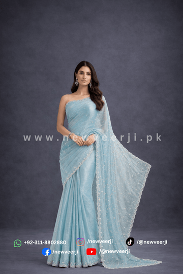 Shimmery Organza Saree - New Veer Ji